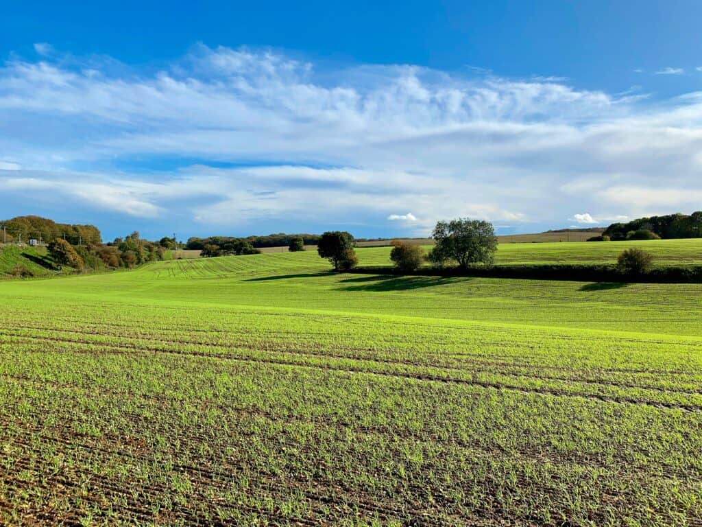 Lush green field under a clear blue sky in the UK countryside.